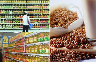 轉(zhuǎn)基因食品的標(biāo)識(shí)迷局 廠家為何遮掩，消費(fèi)者如何識(shí)別？